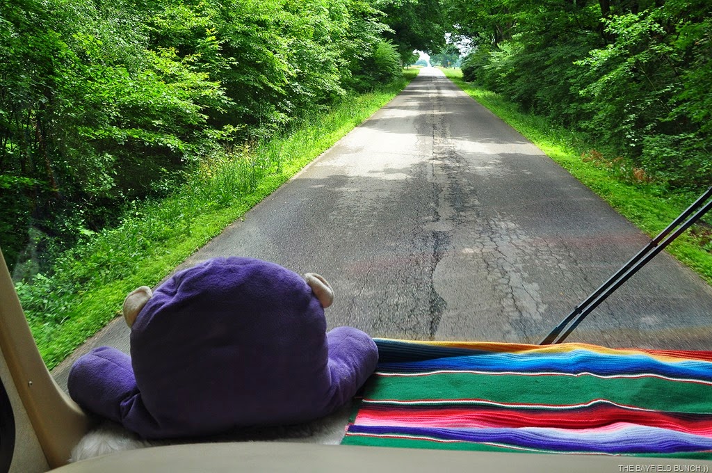 [DSC_0002%255B4%255D.jpg]