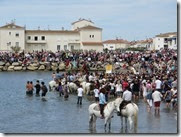 IMG_1320 IMG_1320
