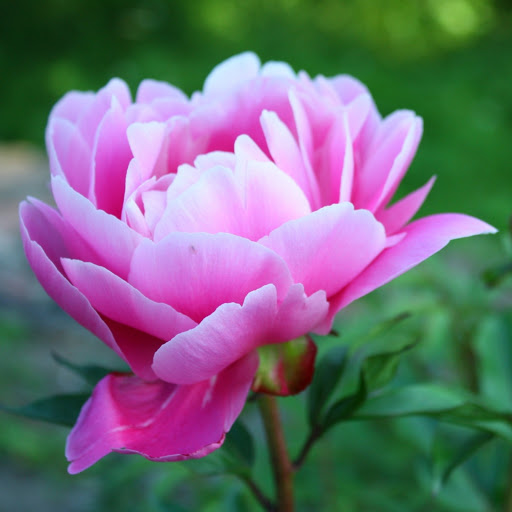 Hd-157831-ascw157831