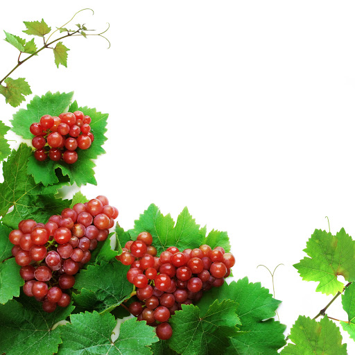 Hd-166074-ascw166074