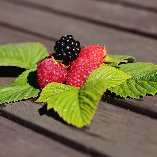 Hd-155148-ascw155148