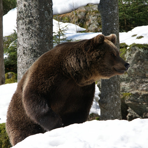 Hd-180376-ascw180376