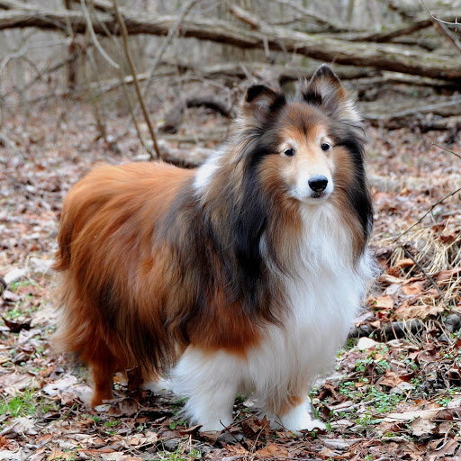 Hd-171652-ascw171652