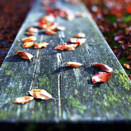 Hd-175852-ascw175852