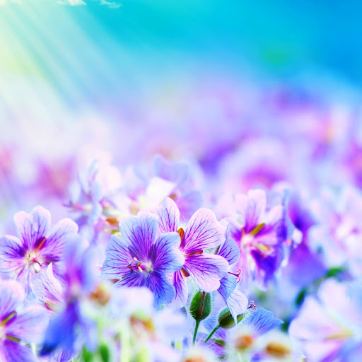 Hd-142699-ascw142699