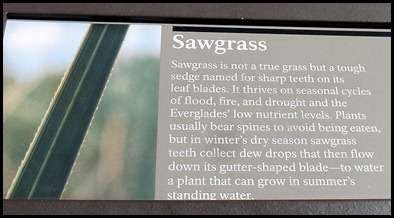 22c1 - Sawgrass Sign