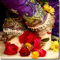 Flowers offered at Krishna's feet
