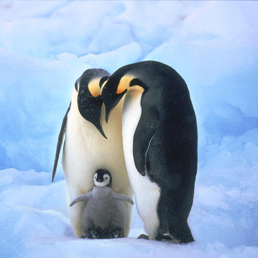 Hd-145864-ascw145864