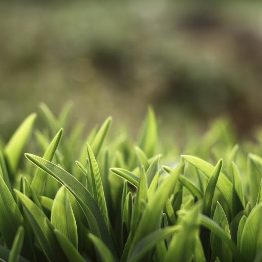 Hd-171687-ascw171687