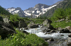 Parco Naturale delle Alpi Marittime