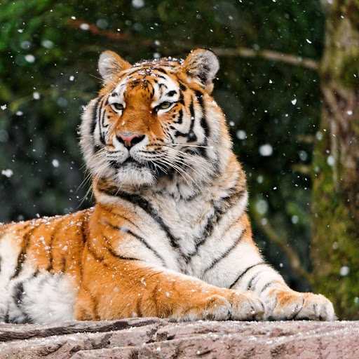 Hd-175264-ascw175264