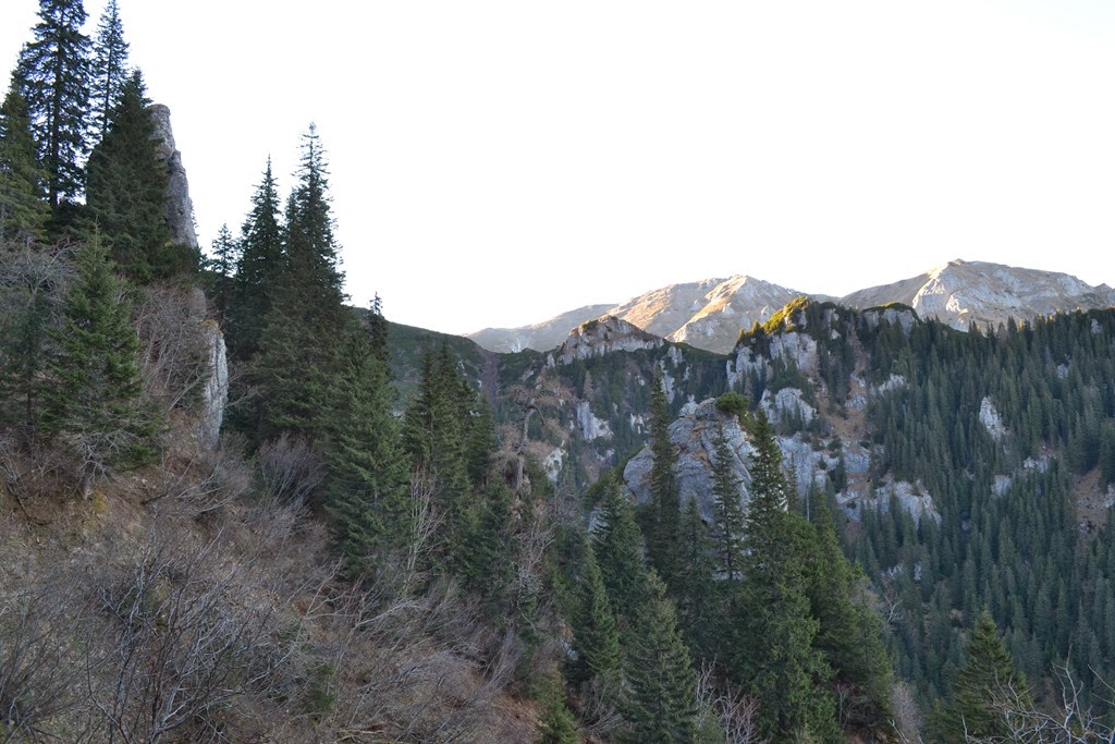 [DSC_0068%255B3%255D.jpg]