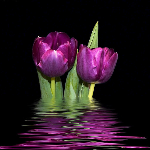 Hd-153337-ascw153337