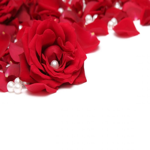 Hd-170074-ascw170074