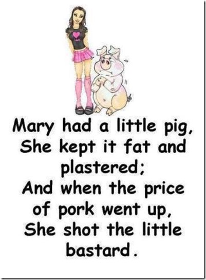 mary had a little pig