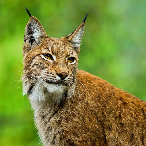 Hd-177642-ascw177642