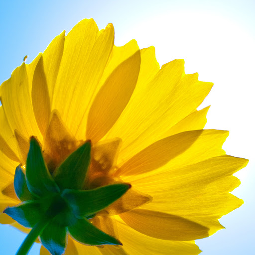 Hd-150302-ascw150302