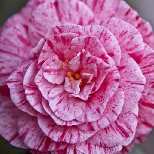 Hd-165228-ascw165228