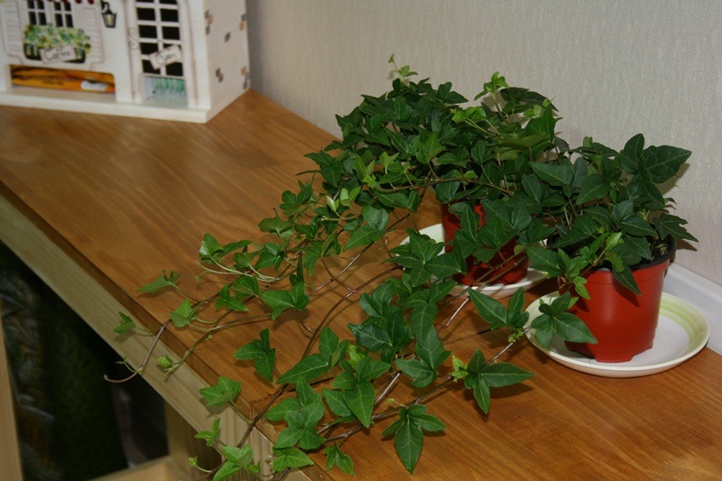 [Gallery3937_9%255B5%255D.jpg]
