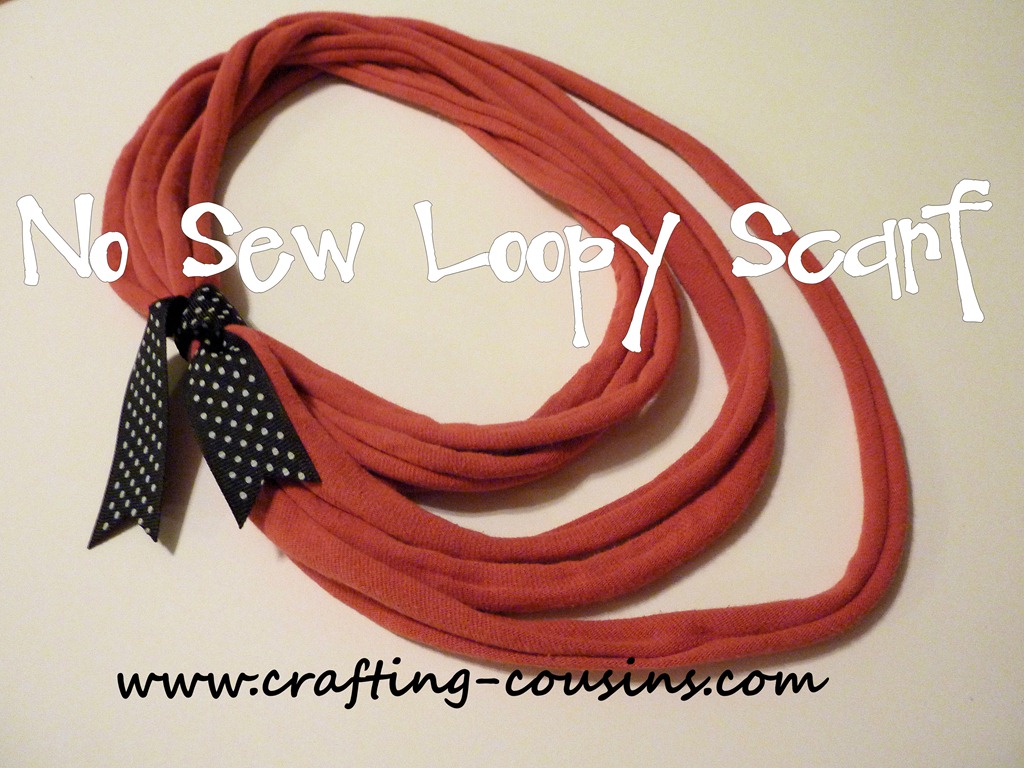 [No%2520sew%2520loopy%2520scarf%2520by%2520the%2520Crafty%2520Cousins%255B5%255D.jpg]