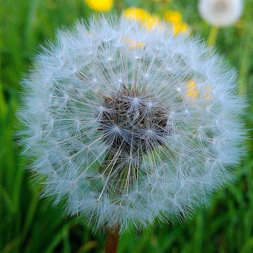 Hd-180819-ascw180819