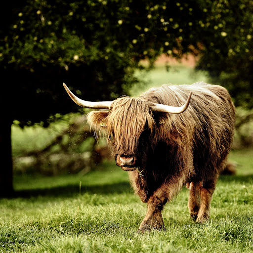 Hd-147019-ascw147019