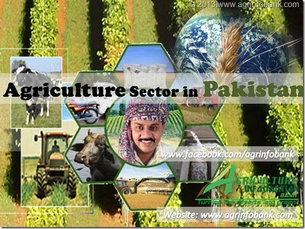 Agriculture Sector in Pakistan