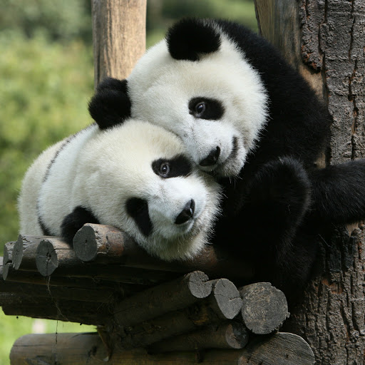 Hd-171160-ascw171160