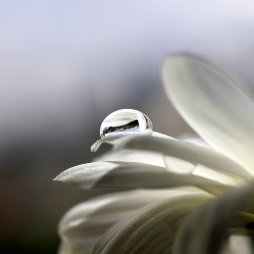 Hd-135931-ascw135931