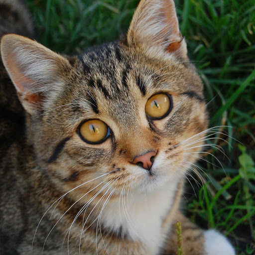 Hd-185599-ascw185599