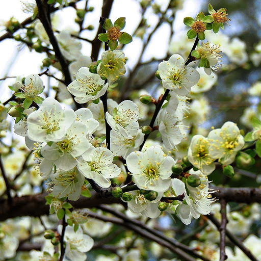 Hd-142639-ascw142639