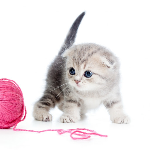 Hd-190535-ascw190535