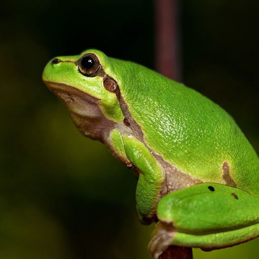 Hd-180934-ascw180934