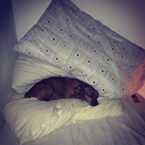 [489b396effa411e2938922000ae8007c_7%255B10%255D.jpg]