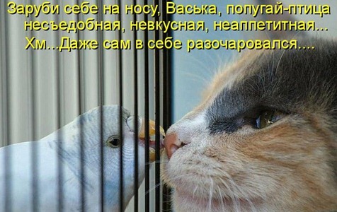 [1291333421_kotomatrix_08%255B3%255D.jpg]