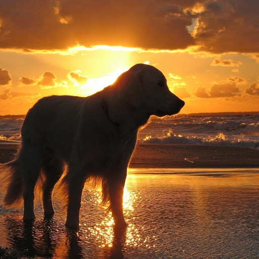 Hd-133302-ascw133302