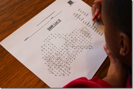 Customizable Spelling List Word Search