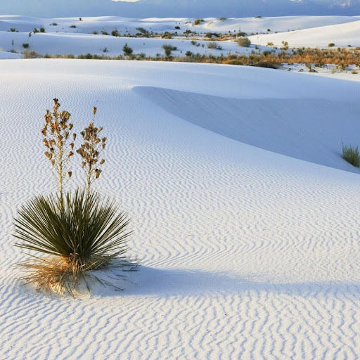 Hd-162772-ascw162772