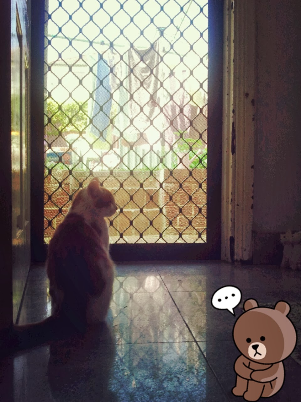 Cat At The Door Through The Looking Glass