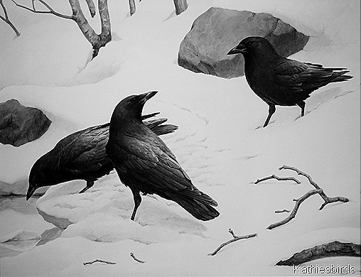 9. Crows by RV Clem-kab