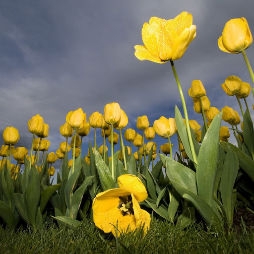 Hd-144466-ascw144466