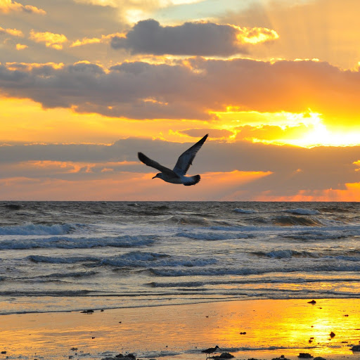 Hd-182640-ascw182640