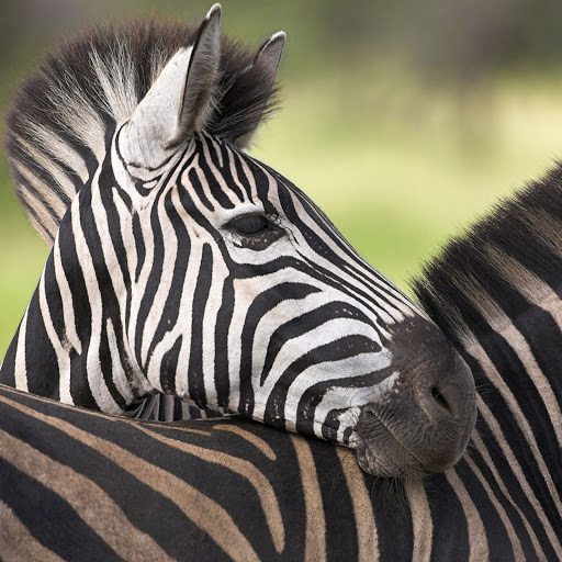 Hd-162807-ascw162807