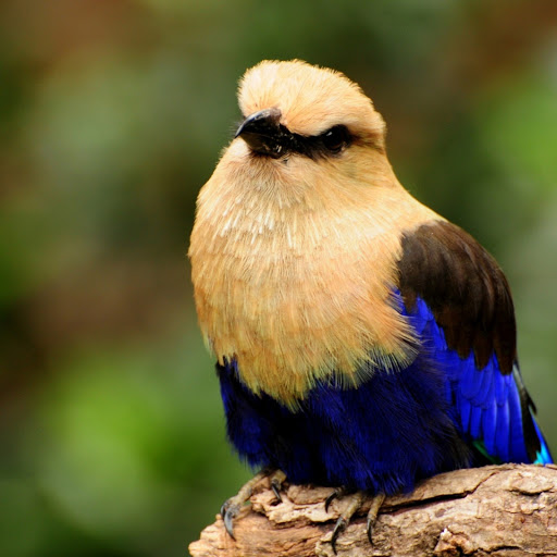 Hd-155034-ascw155034