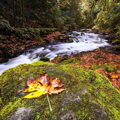 Hd-150351-ascw150351