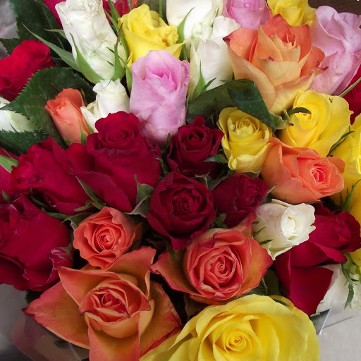 Hd-148752-ascw148752