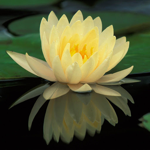 Hd-151312-ascw151312