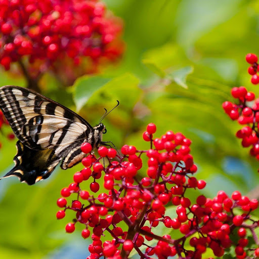 Hd-142406-ascw142406