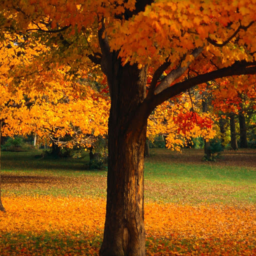 Hd-171746-ascw171746