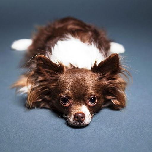 Hd-148691-ascw148691